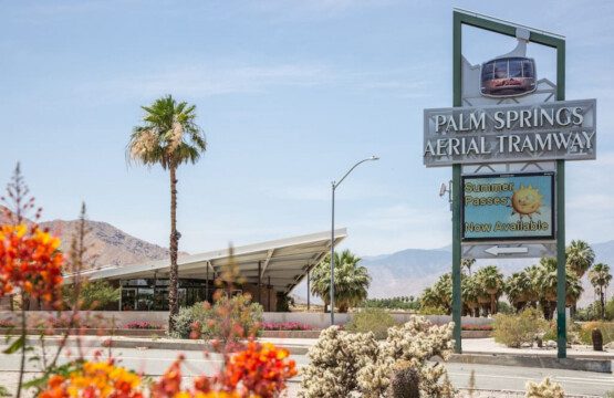 57028 146735 vnz sEEAFxggxPGIPltwTvrzKhhP89wNHp et5uPFrY 63eed2e78dc47.jpg